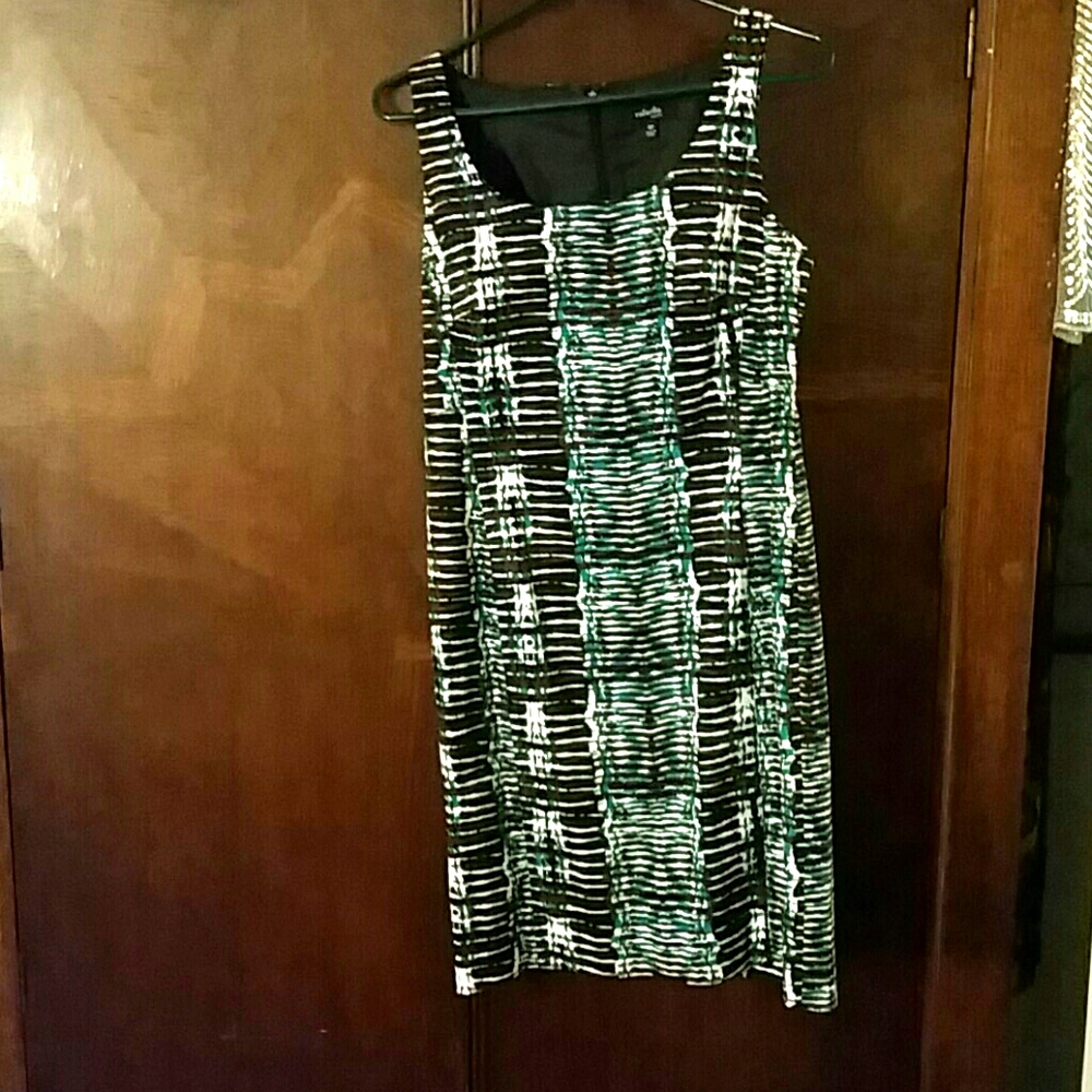 Rafaella 4 petite dress